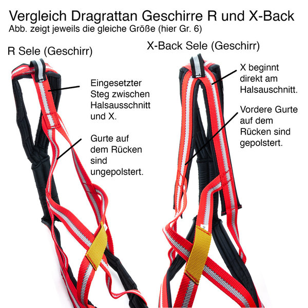 Dragråttan x-back harness